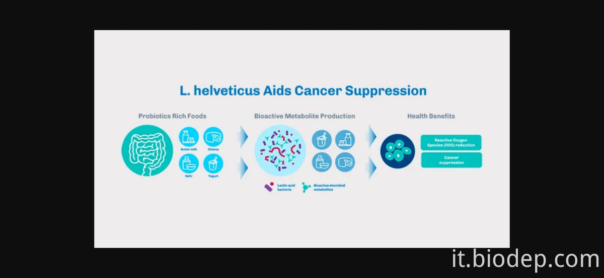 Lactobacillus Helveticus4 Lactobacillus Helveticus4